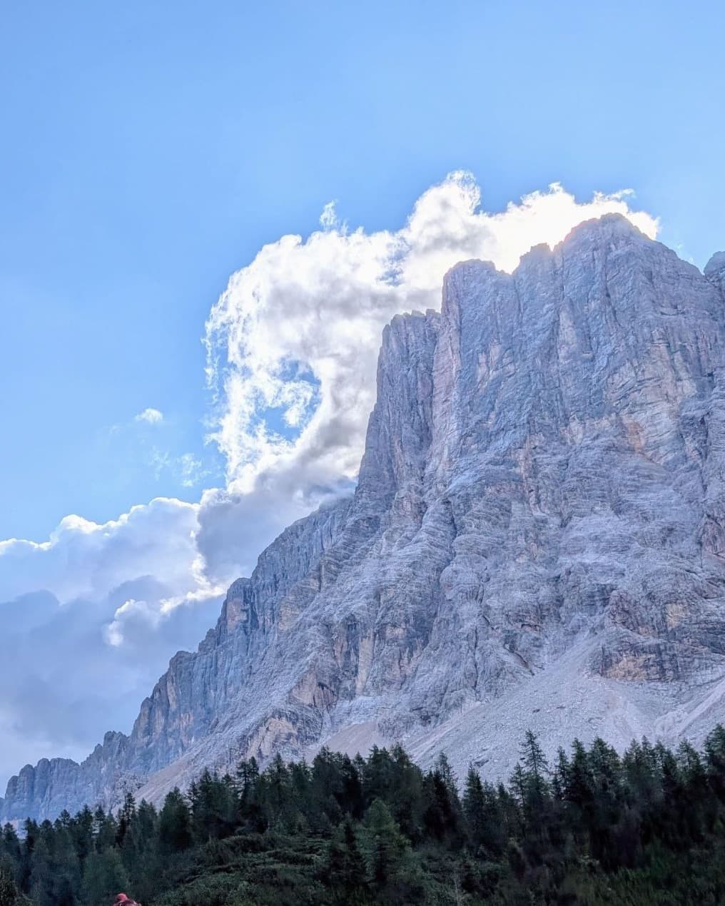 Pale limestone cliffs rising above a pine forest, with clouds lit by the sun behind the peak.